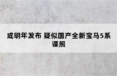 或明年发布 疑似国产全新宝马5系谍照